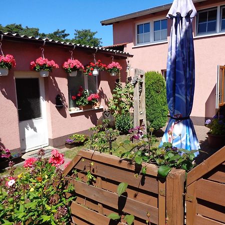 Ferienwohnung Duehne Ostseebad Kühlungsborn Eksteriør billede